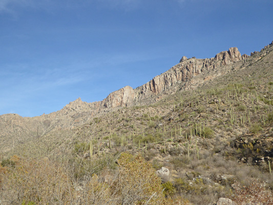 Sabino Canyon