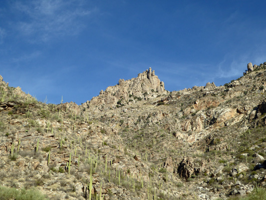 Sabino Canyon