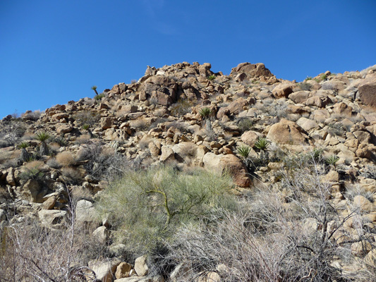 Trail to Moorten's Mill Joshua Tree NP