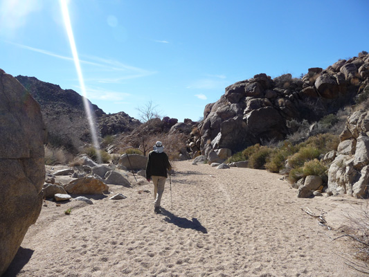 Trail to Moorten's Mill Joshua Tree National Park