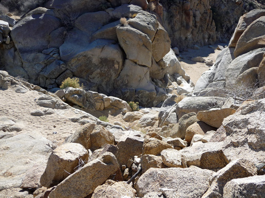 Little Chilcoot Pass Joshua Tree NP