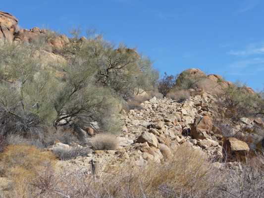 Little Chilcoot Pass Rd Joshua Tree NP