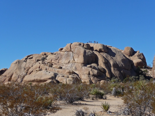 Joshua Tree National Park Rock and Climbers 