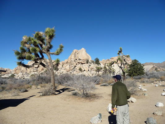 Trailhead Wall Stree Mill trail Joshua Tree National Park