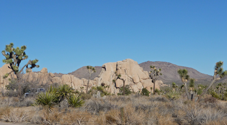 Hidden Valley Picnic area Joshua Tree National Park