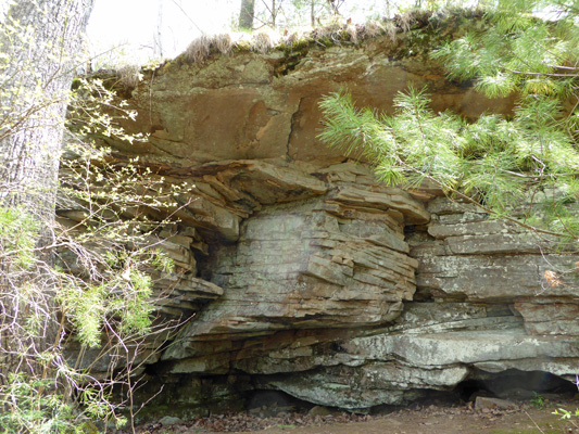 Layered sandstone Cumberland Mt SP