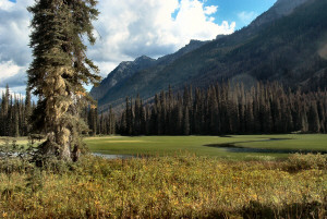 Tacquala Meadow marsh