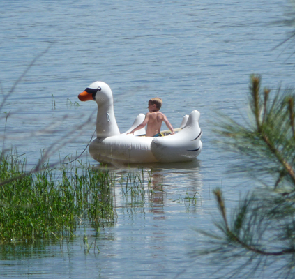 Child and inflatable swan toy Lake Cascade ID