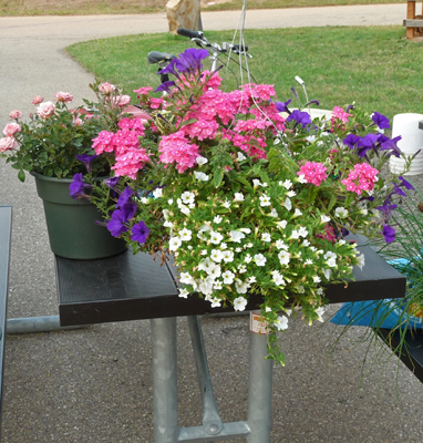 Basket of flowers