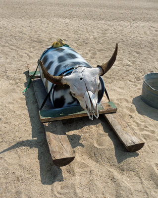 Bull Ship Water Hooligans boat