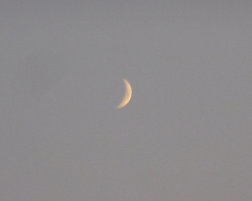 Crescent moon in twilight sky.