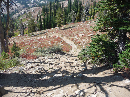 Blue Lake Trail ID