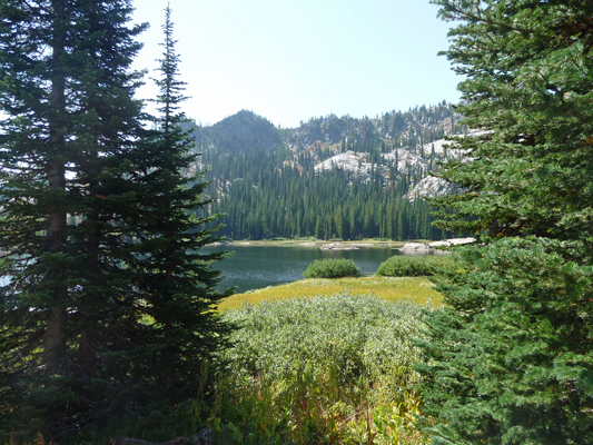 Blue Lake ID