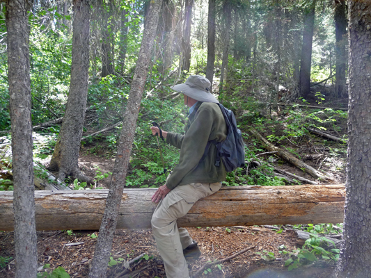 Walter Cooke climbing over downed log