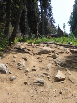 Further up jeep road on Louie Lake Trail