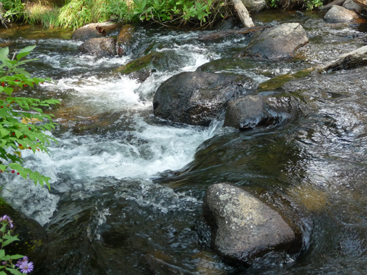 Creek near Louie Lake trailhead