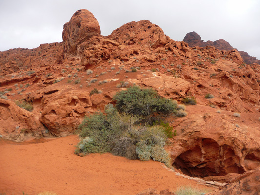 Valley of Fire State Park NV