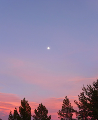 Nearly Full Moon Pahrump NV