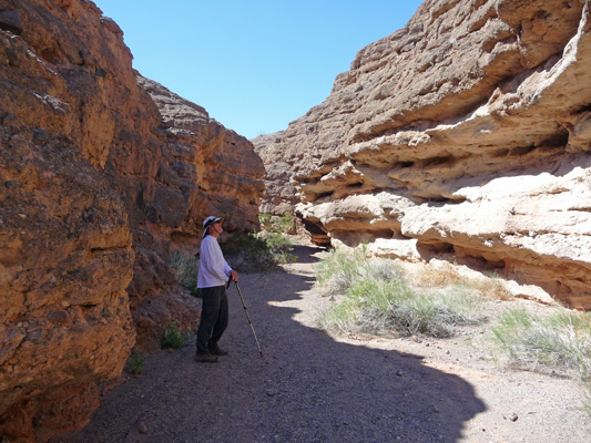 White Owl Canyon