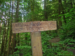 Bridal Veil Falls sign on the Lake Serene Trail near Index WA