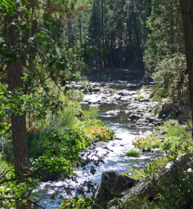 McCloud River south of Mt Shasta