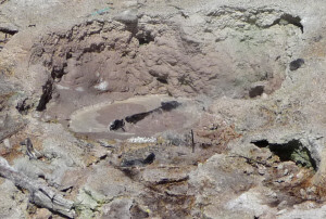 Mud pot at Bumpus Hell Lassen Volcanic National Park