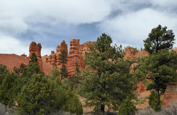 Red Canyon Utah