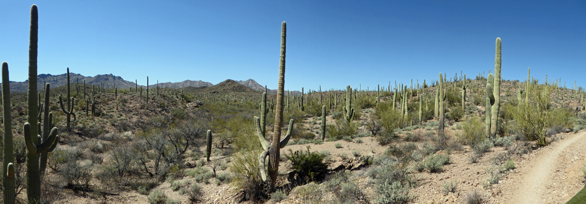 Sweetwater Preserve