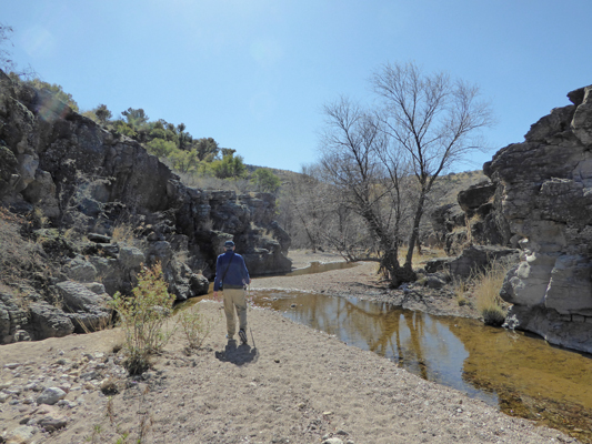 Creek in Sycamore Canyon