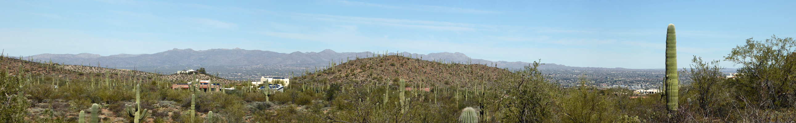 Tucson from Sweetwater Preserve