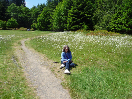 Sara Schurr and Oxeye Daisies Olympic National Park