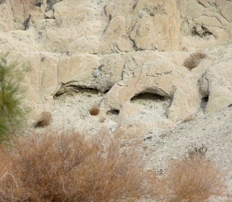 Face on canyon wall Painted Canyon Mecca Hills