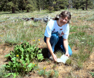 Sara identifying flowers at Meeks Table