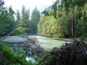 View of Nooksack River from campsite at Silver Fir Campground