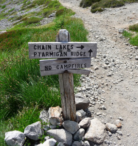 Trail markers on Ptamigan Ridge and Chain Lakes Trail Mt. Baker WA