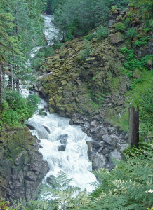 Wells Creeks Falls at Nooksack Falls Mt. Baker WA