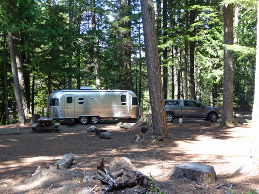Genevieve the Silver Palace at Silver Springs Campground WA