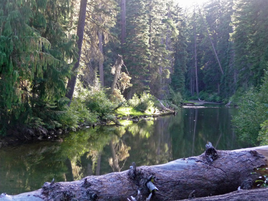 American River from Pleasant Valley Campground