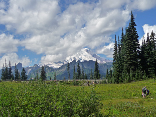 Mt. Rainier from Tipsoo Lake