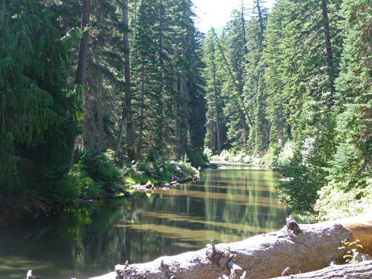 American River from Pleasant Valley Campground WA