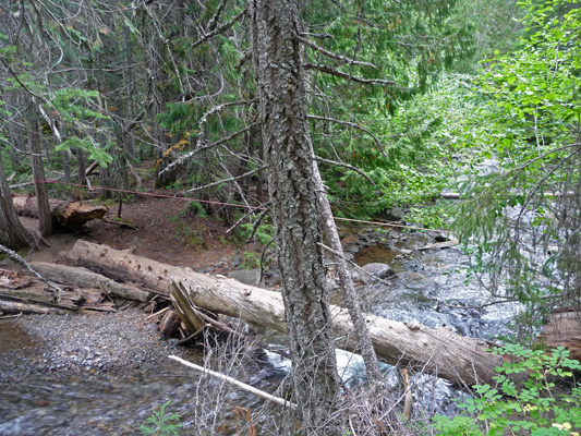 Rope over log to cross Union Creek