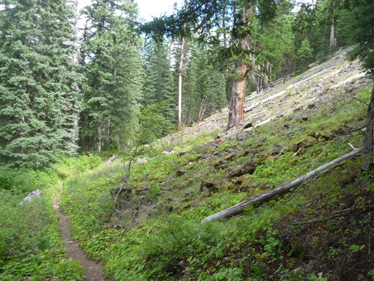 Talus slope along Pleasant Valley Loop Trail