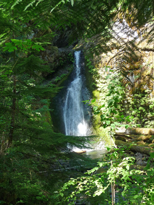 Camp Creek Falls WA