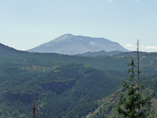 Mt. St. Helens from road to Windy Ridge