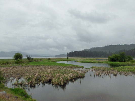 Marsh at Heyburn State Park ID