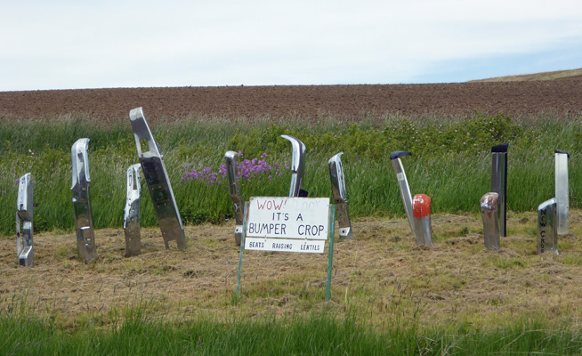 Bumper crop art