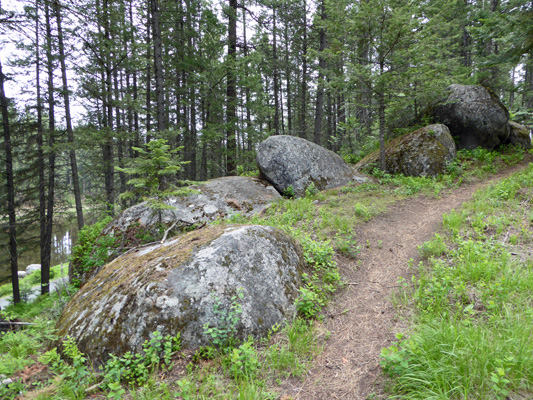 Quartz diorite boulders