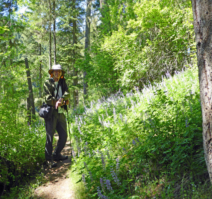 Walter Cooke and lupine Dworshak SP