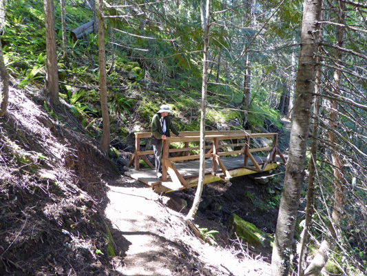 Walter Cooke bridge Big Eddy Trail 