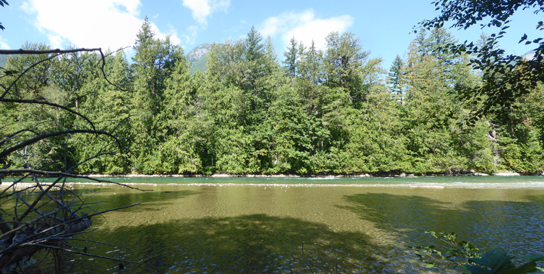 Skagit River from River Loop Trail